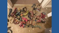 Nearly 140 pet collars recovered from Lake Lure's Rainbow Bridge