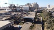 Vicentin: comienza período clave para el futuro de la agroexportadora
