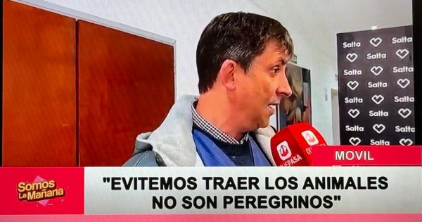 [ATENCIÓN] Conocé lo peligroso que es llevar a tu mascota a las peregrinaciones