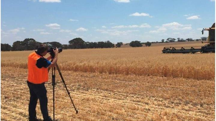 Día del Periodista Agropecuario: ¿Por qué se celebra el 1° de septiembre?