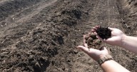 Family farm threatened by SC 31 expansion amid growth