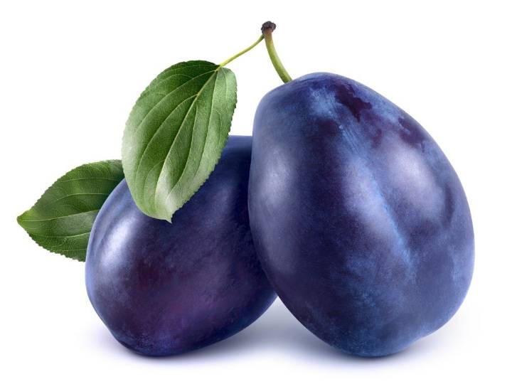 'Weathering' of prune plums due to rainfall