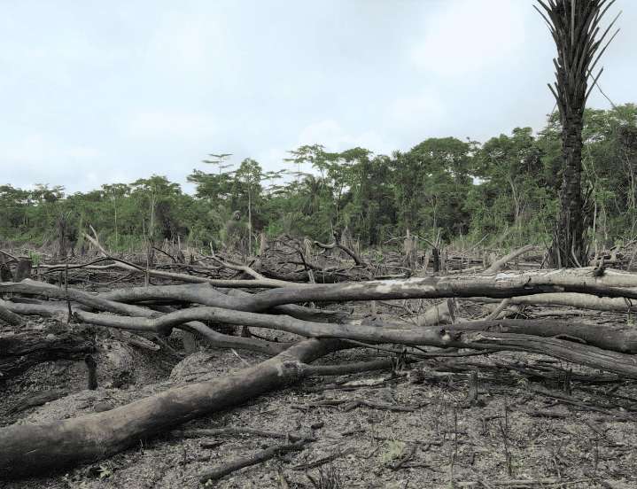 Amazonía: deforestación y falta de titulación aumentan enfermedades