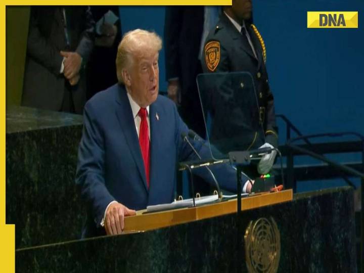 Donald Trump seeks ceasefire between Israel-Hamas, says, 'We have to...', blames