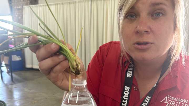 'Grow some gardeners': West Texans flex green thumbs at fair's new plant swap