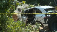 New mom paralyzed after being crushed by a tree sues Dallas property owner