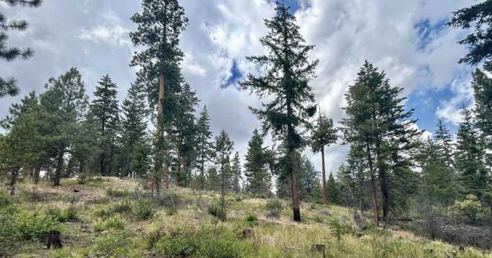WA public lands commissioner wants $100 million boost for wildfire funding