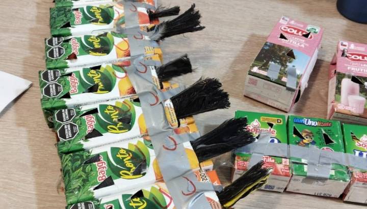 Aduanas de Los Libertadores incautó 50 aves que estaban ocultas en cajas de jugos