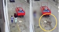 Terror en Chimbote: pitbull ataca a madre y su pequeño hijo