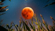 Luna de maíz y eclipse lunar total