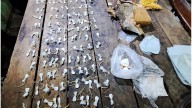 Concordia: incautaron 300 dosis de cocaína, medio kilo de marihuana y más de medio millón de pesos