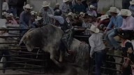 Invitan al último día de actividades de Expo UAAAN; habrá charreada, escaramuzas y rondalla