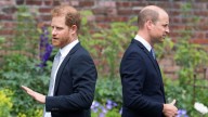 Prince Harry and Prince William’s Relationship in Photos