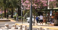 La primavera asoma y el invierno empieza a despedirse