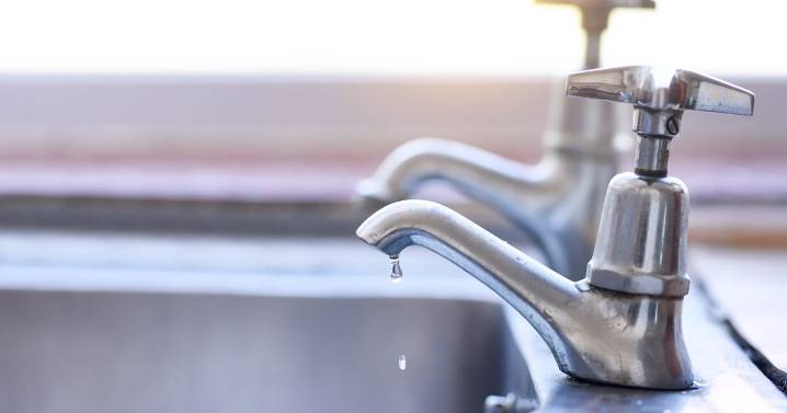 Folkestone and Dover residents urged to reduce water usage after warmest summer on record