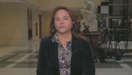 Diputada Pérez y voto obligatorio con multa: “Es para esta elección y todas en adelante”