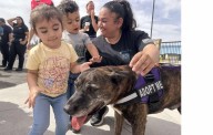 Con inversión millonaria, renuevan centro de adopción de mascotas