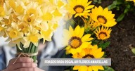 Las mejores frases cortas y bonitas de flores amarillas para este 21 de septiembre