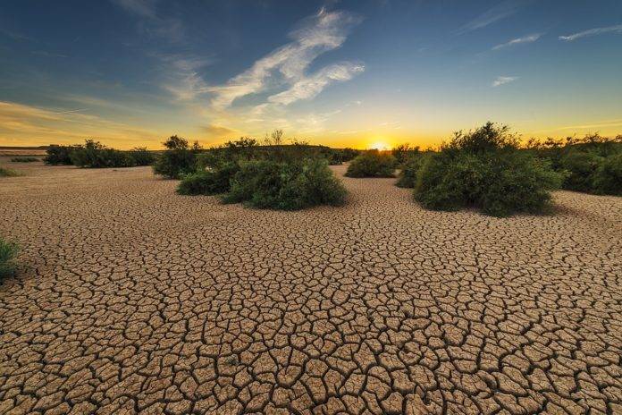 Un estudio advierte sobre el riesgo de extrema escasez de agua en las próximas décadas