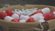 New database offers real-time health insights for Corpus Christi area