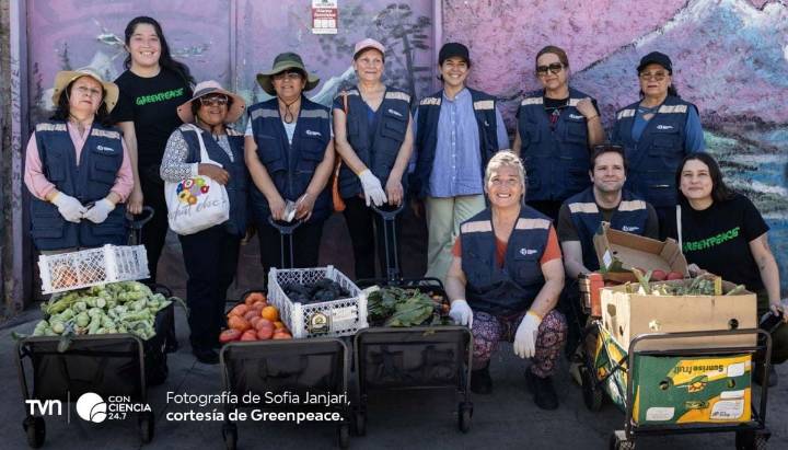 Desperdicio de alimentos: un problema ambiental, social y económico presente en Chile