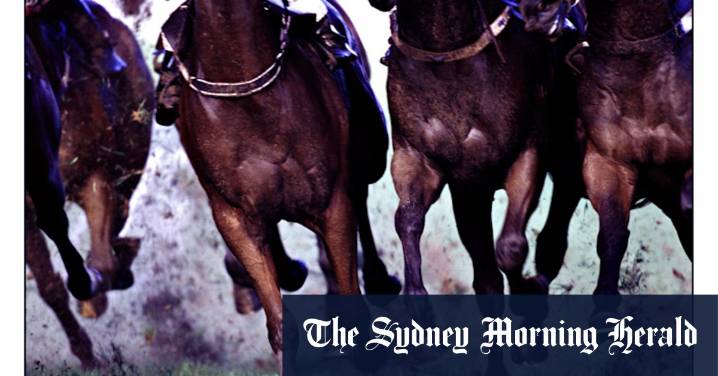 Race-by-race preview and tips for Monday meeting at Muswellbrook