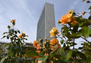 Los 7 momentos más polémicos en 80 años de la ONU; del extenso discurso de Castro al zapato de Kruschev