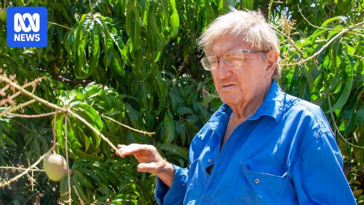 WA growers take precautions against mango twig tip dieback disease