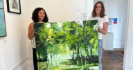 Visitors crown Devon painter winner of regional art gallery award