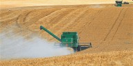 Cae actividad económica interanual 1.1 % en julio, reporta Inegi