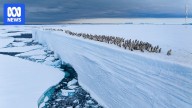 Polar 'geoengineering' projects won't protect environment against climate change, scientists warn