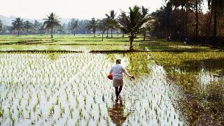 Natural calamities hit crops on 605 lakh hectares in 9 years in Maharashtra