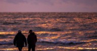 Marine life thriving amid Baltic Sea WW2 explosives