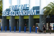 Miami Seaquarium set to close under development deal for marina, restaurants