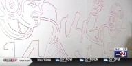 Muralist creates paint-by-numbers Packers fence