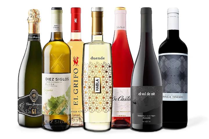 El futuro en la copa: 7 vinos sostenibles que respetan la tierra y cautivan por su sabor