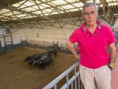 Florito, mayoral, seleccionador nacional de toros, el alma de la plaza de Las Ventas