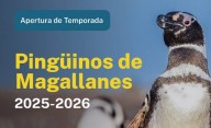 Mañana Chubut recibe a los Pingüinos de Magallanes