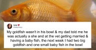 Twitter User Asked, “What Is The Dumbest Thing You Believed As A Child?” And 34 Folks Delivered
