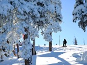 Colorado ski resort opening dates for 2025