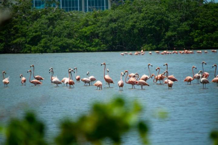 Gobierno regional solicita prohibición inmediata de motos acuáticas en Laguna Blanca