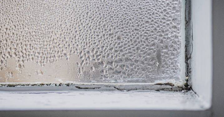 Keep windows drier during autumn with 1 household item that's not a dehumidifier