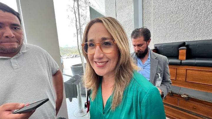 PVEM se deslinda de la denuncia que interpuso Itzel Mendo contra Sandra Pedroza