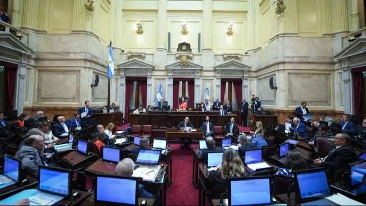 El Senado busca rechazar el veto a la emergencia en discapacidad