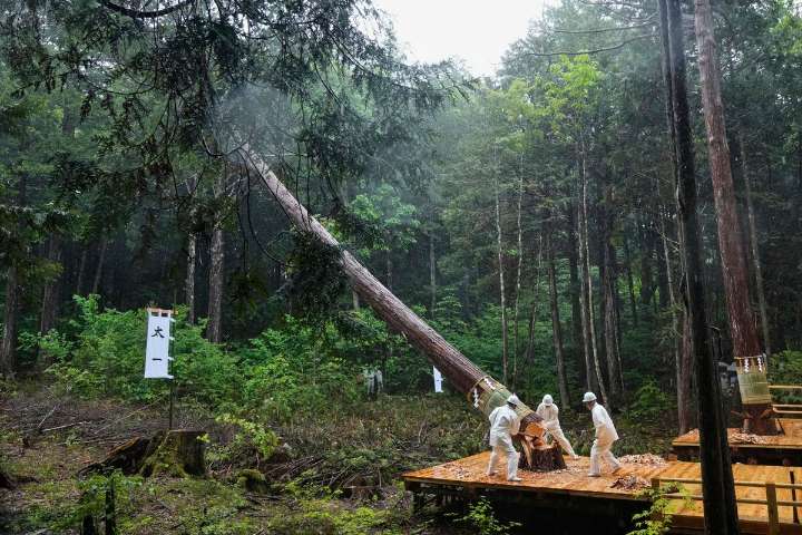 UE propone aplazar hasta 2026 la aplicación de la ley contra la deforestación