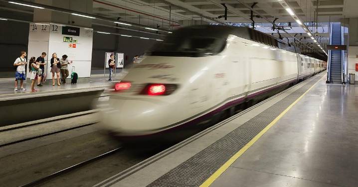 Suspendida la circulación de trenes en un tramo de la alta velocidad entre Barcelona y Madrid por un incendio