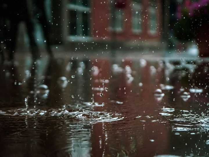 Clima hoy en Tampa, Estados Unidos: el pronóstico del tiempo para este jueves 11 septiembre de 2025