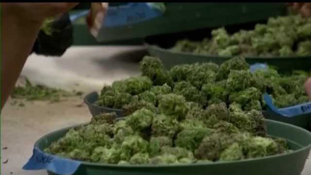Gov. Jim Pillen signs new emergency medical marijuana regulations