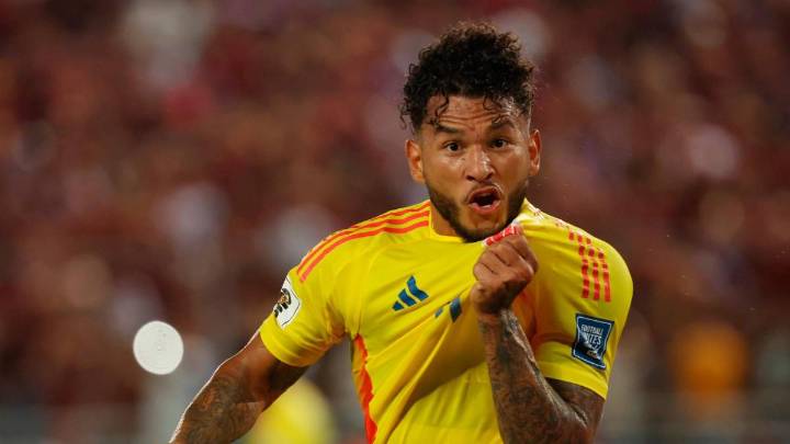 Tras superar las eliminatorias, ¿cuáles serán los partidos que jugará la Selección Colombia antes del Mundial?