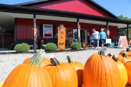 Ohio pumpkin patch named best in the US